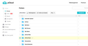 Stocker en ligne pCloud