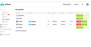 Synchro Facebook Instagram pCloud