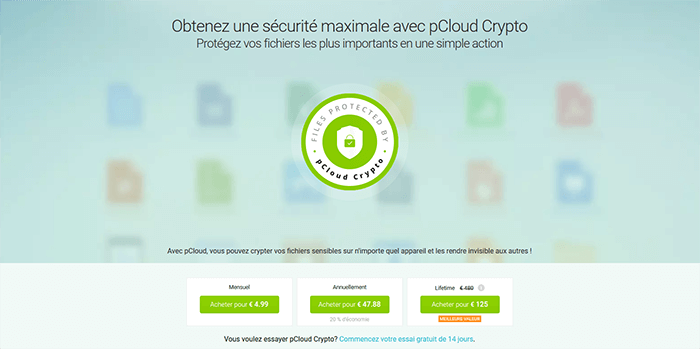 pCloud Crypto